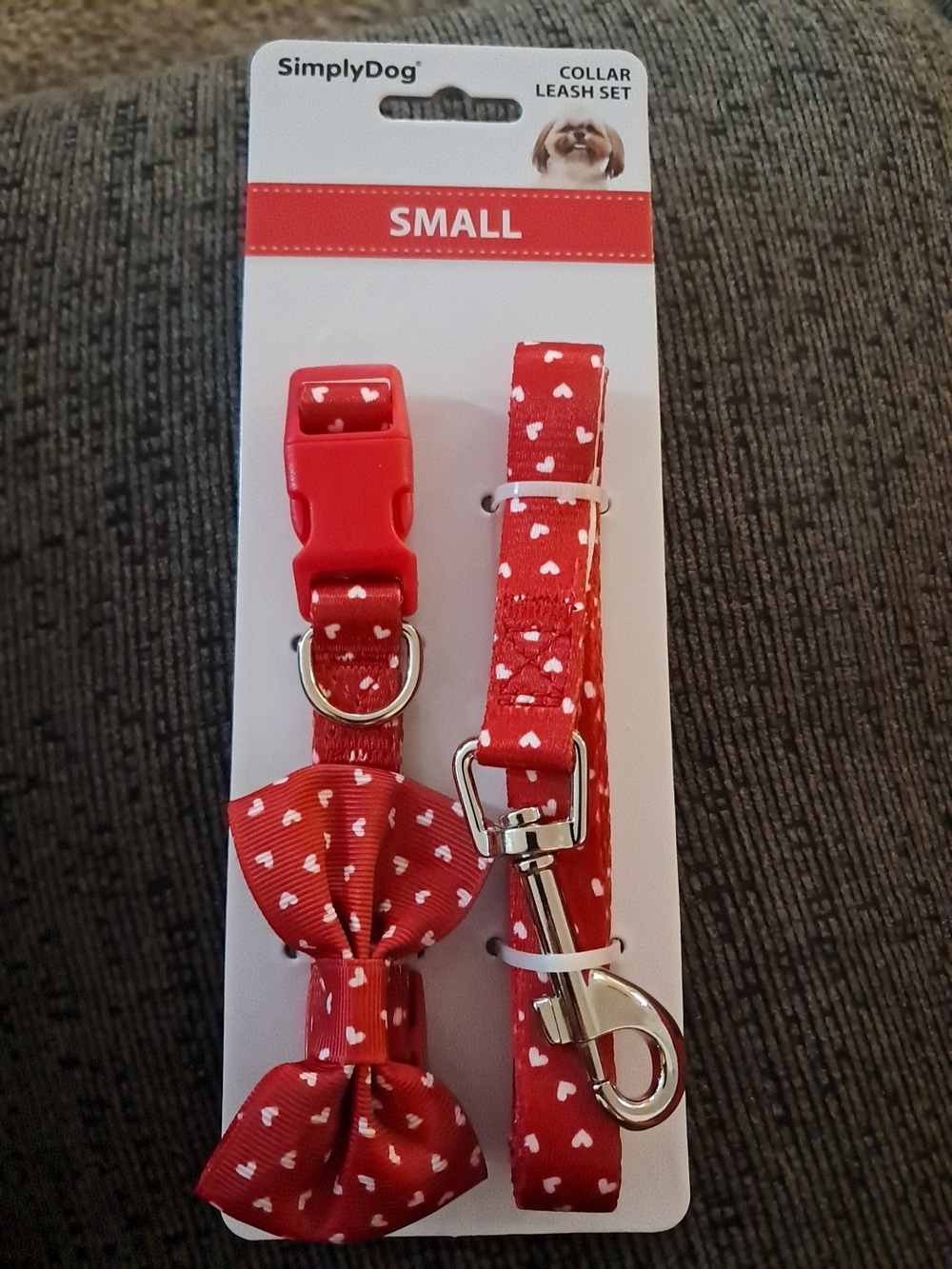 Small Red Heart Bow Collar and Leash Set